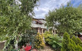 Casa Vera